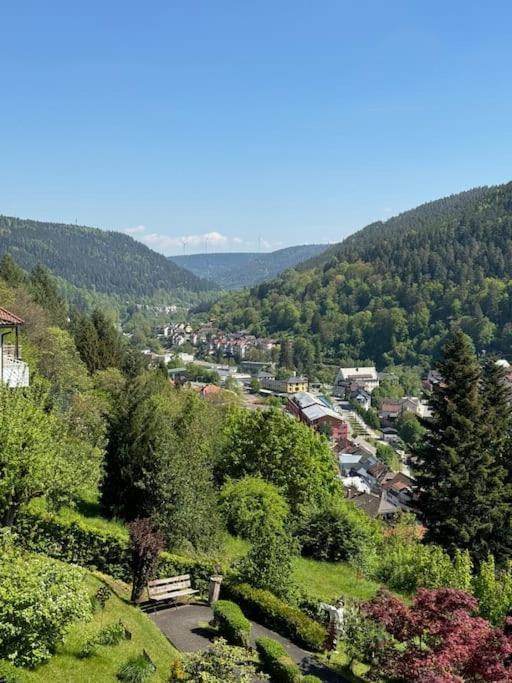 Bollenhut 1 Apartment Bad Wildbad Exterior photo