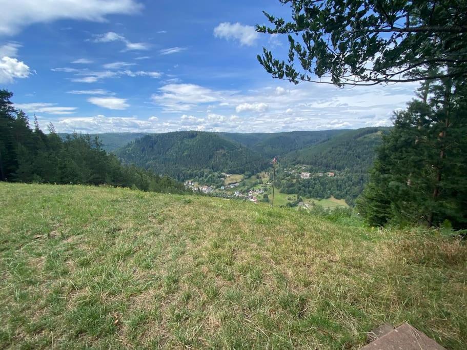 Bollenhut 1 Apartment Bad Wildbad Exterior photo