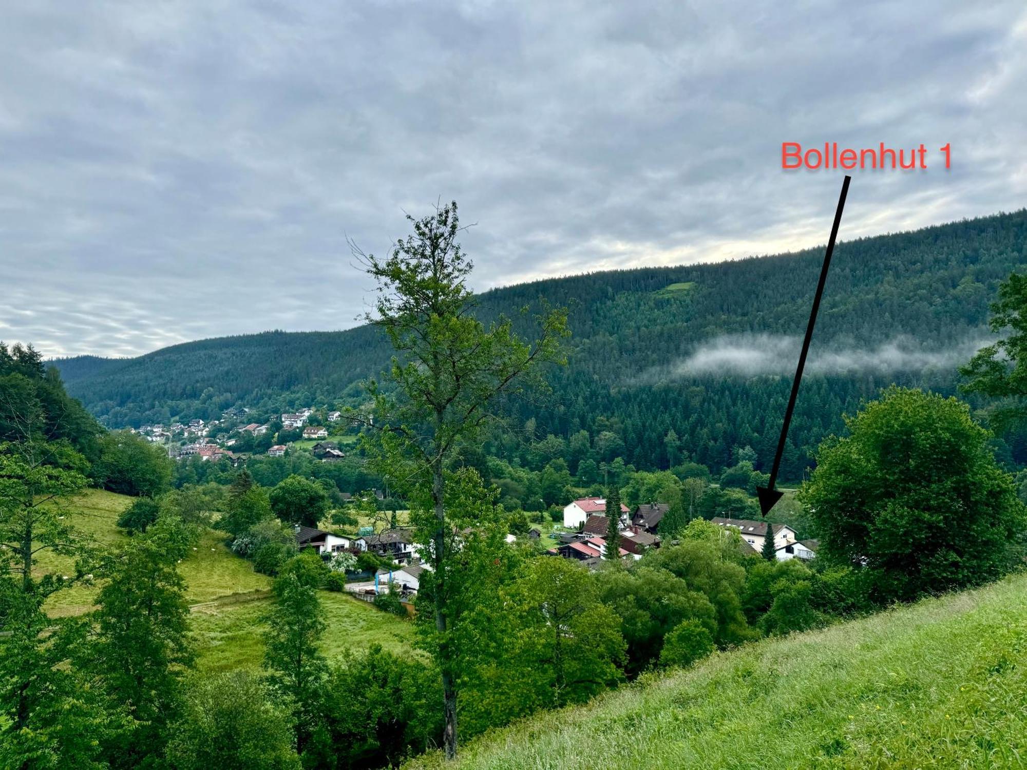 Bollenhut 1 Apartment Bad Wildbad Exterior photo